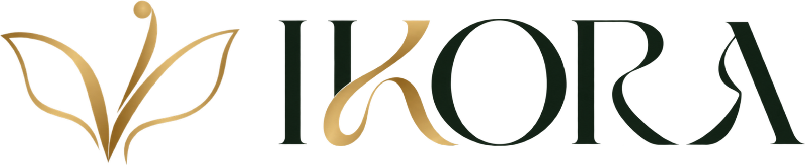 IKORA Aerial & Pilates Studio